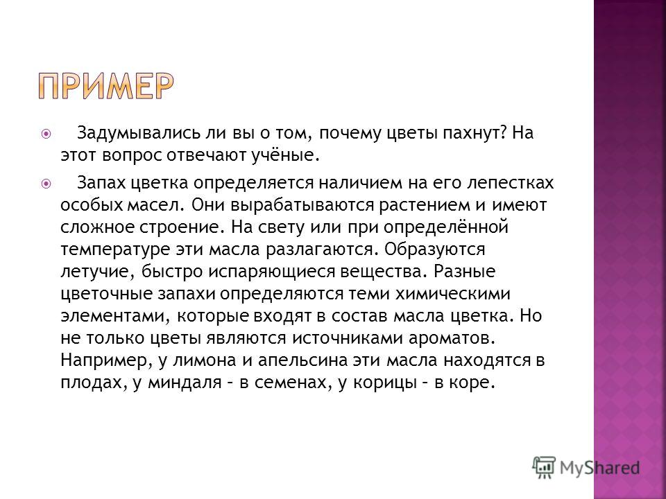 Посадка голубики отзывы Посадка голубики отзывы