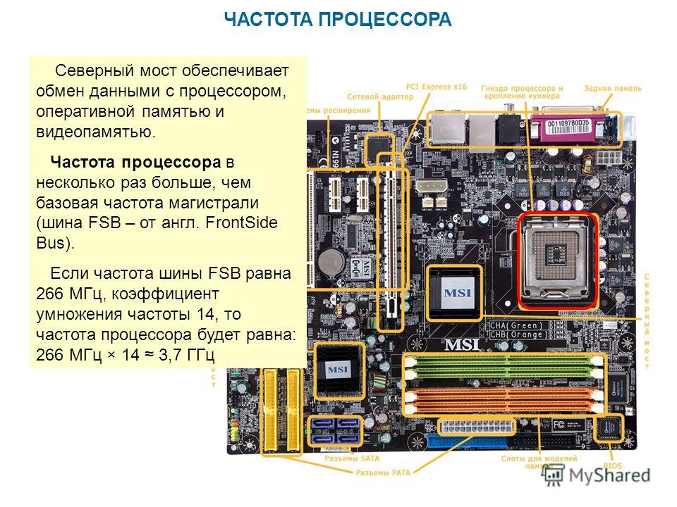 ЧАСТОТА ПРОЦЕССОРА Северный мост обеспечивает обмен данными с процессором, оперативной памятью и видеопамятью. Частота процессора в несколько раз больше, чем базовая частота магистрали (шина FSB – от англ. FrontSide Bus). Если частота шины FSB равна 