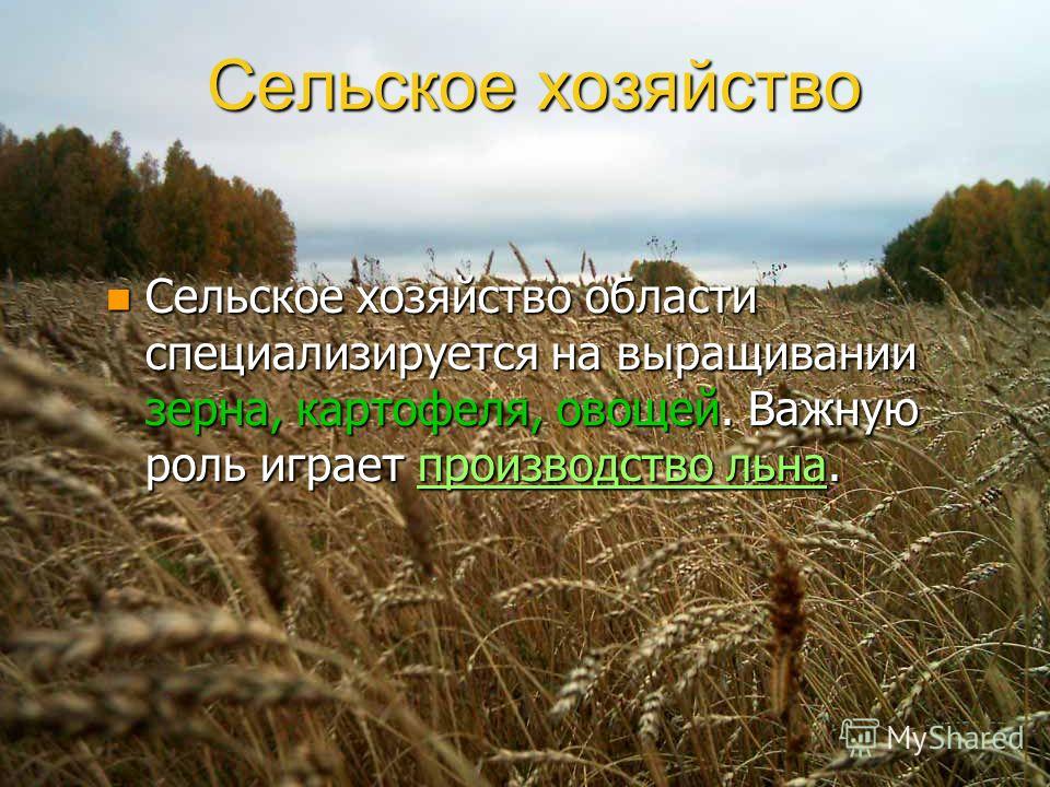 Сельское хозяйство n Сельское хозяйство области специализируется на выращивании зерна, картофеля, овощей. Важную роль играет производство льна.