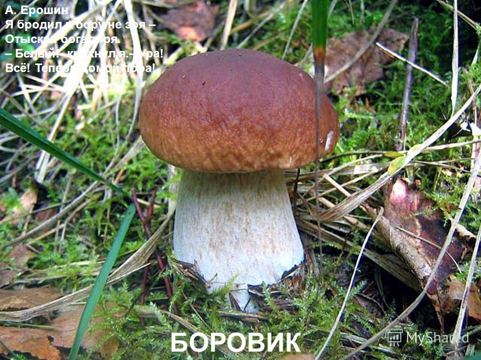 Что нужно делать для отбеливания лица