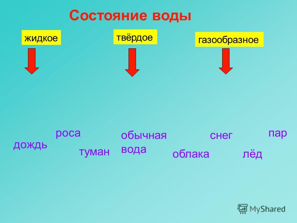 бассейн 5 гимназия чебоксары расписание бассейн 5 гимназия чебоксары расписание
