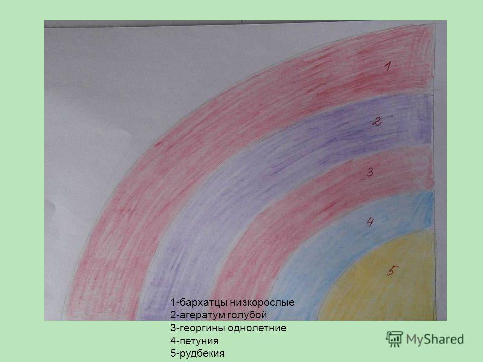 Задать вопрос ректору За кулисами конкурса красоты Мисс Возрастная Америка