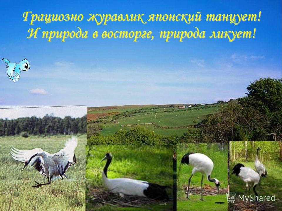 Картинки на тему не засоряйте природу Картинки на тему не засоряйте природу