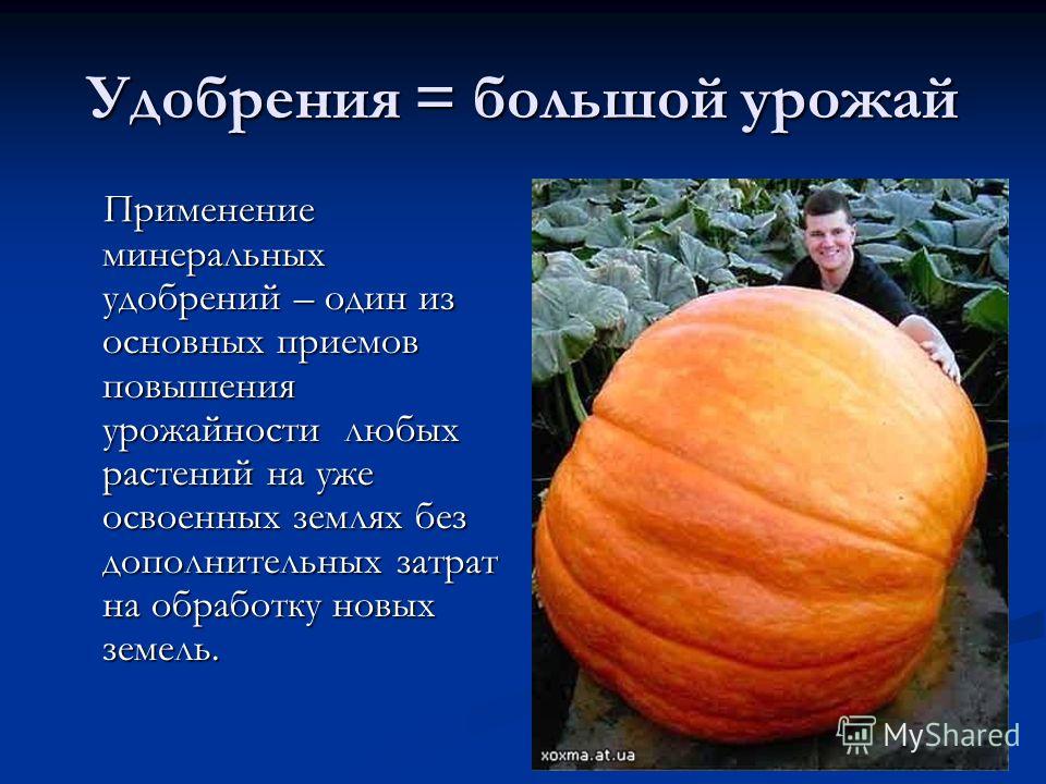 Почему экологи против применения в качестве удобрения золы весной Почему экологи против применения в качестве удобрения золы весной