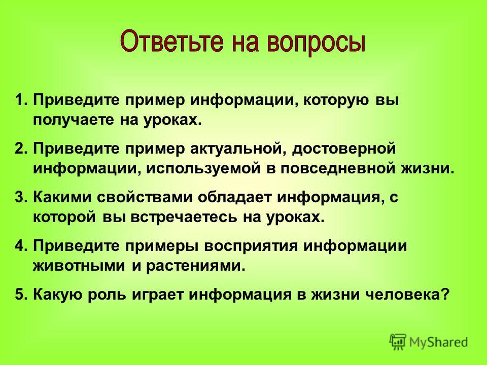 Рисунки картинки чертежи схемы карты фотографии это примеры числовой информации