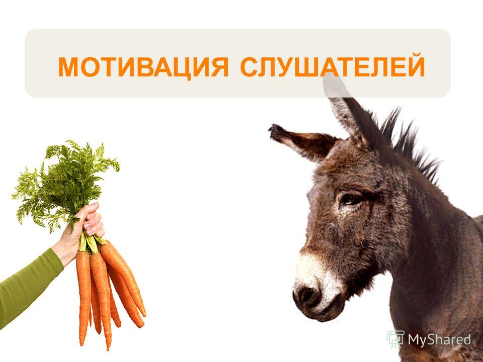 РАЗРАБОТКА САЙТА MOODLE РАЗРАБОТКА САЙТА MOODLE