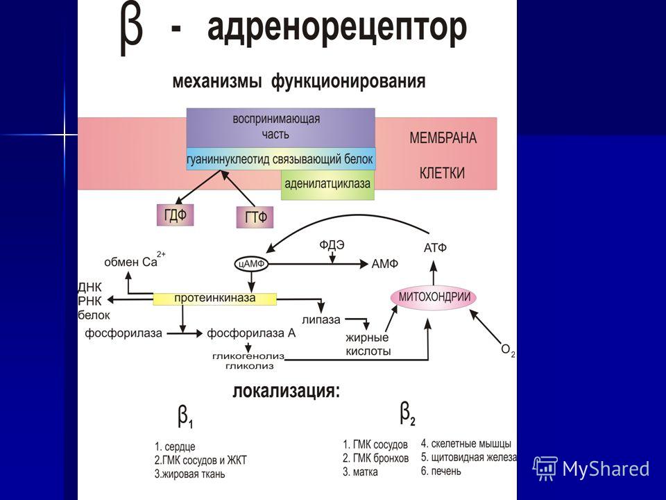 Лечение гипертонии в китае форум