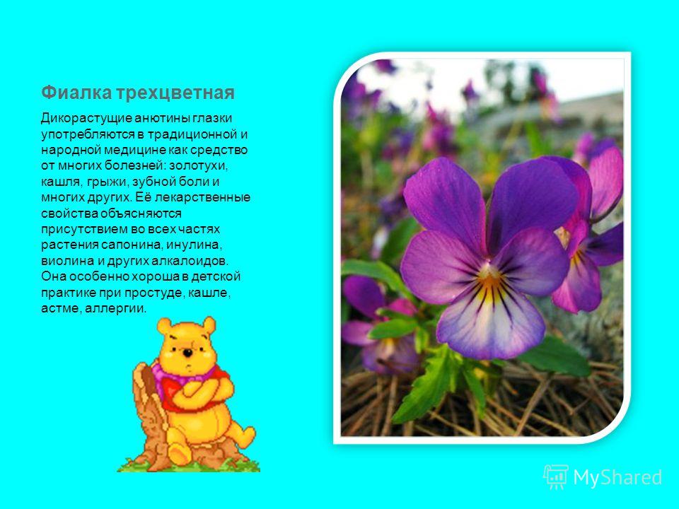 Что нельзя есть пить при подагре Что нельзя есть пить при подагре