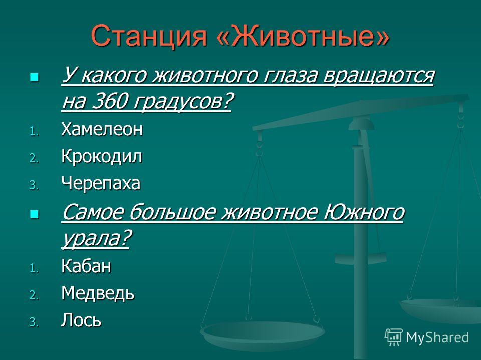 Как определить нитраты в овощах в домашних условиях Как определить нитраты в овощах в домашних условиях