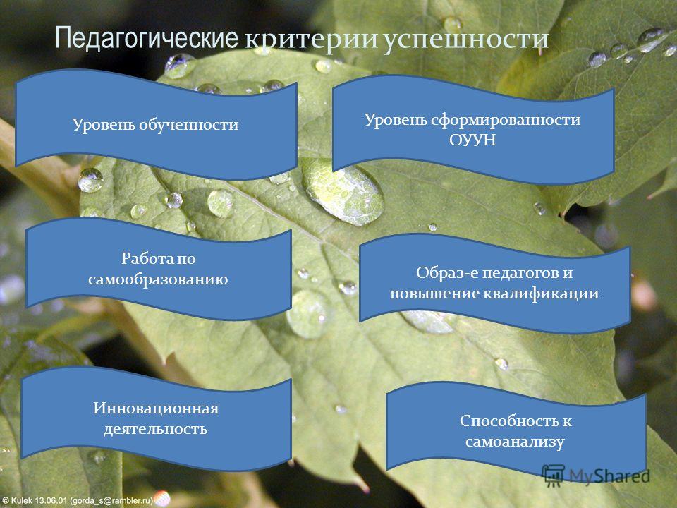 Критерии успешности реализации проекта и ограничения презентация Критерии успеха организации презентация