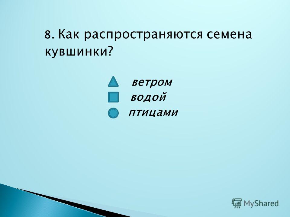 Распространяются плоды семена Распространяются плоды семена