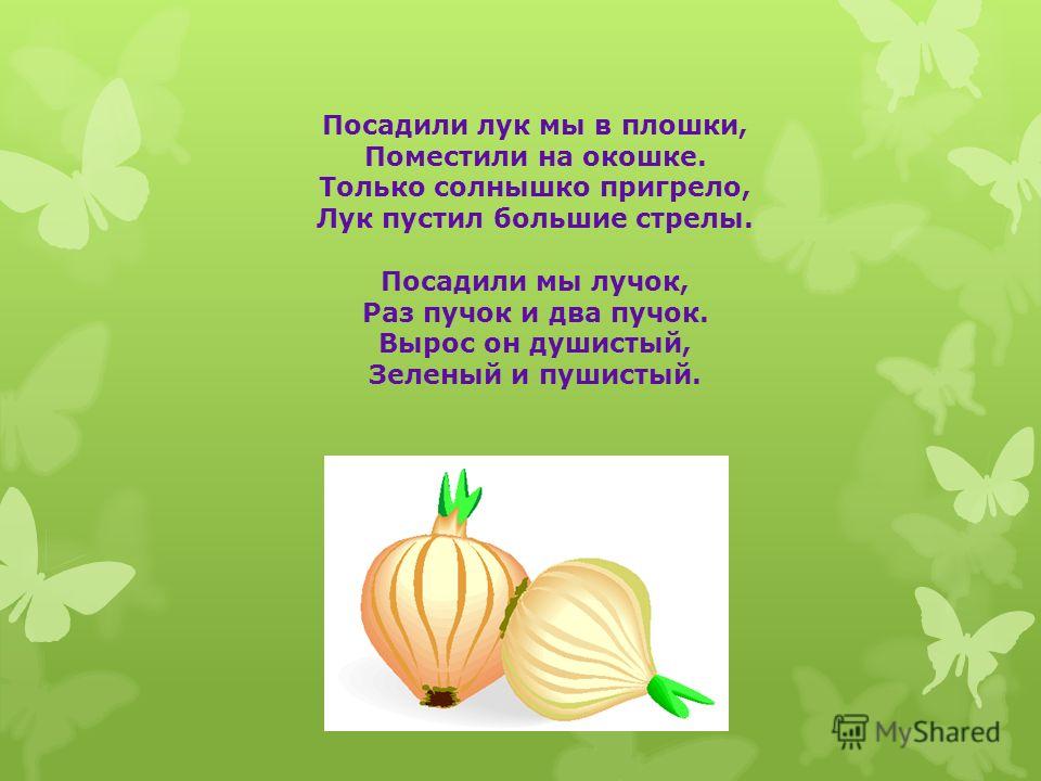 Детский стих про посадку лука Детский стих про посадку лука