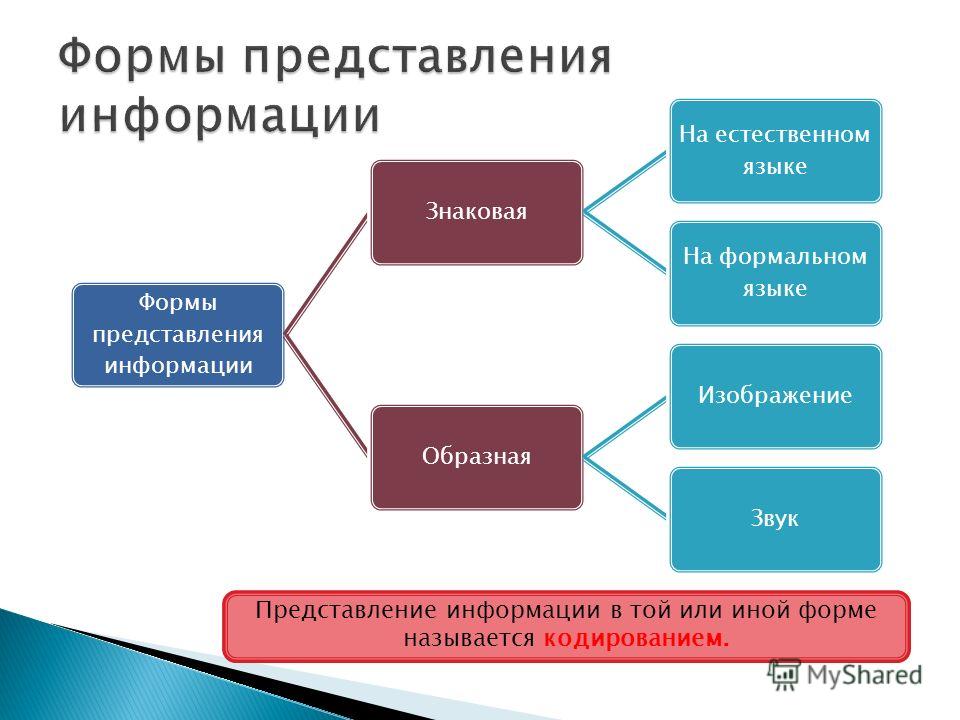 3 Знакомства И Представление