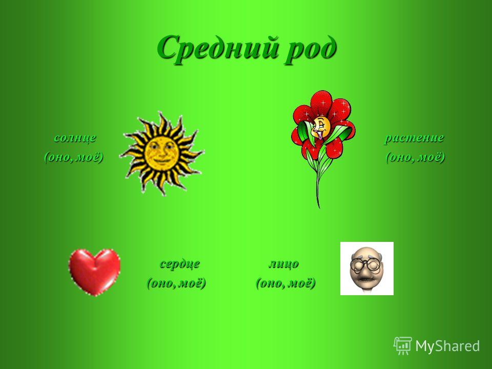 Средний род солнце солнце (оно, моё) (оно, моё) растение растение (оно, моё) (оно, моё) сердце сердце (оно, моё) (оно, моё) лицо лицо (оно, моё)