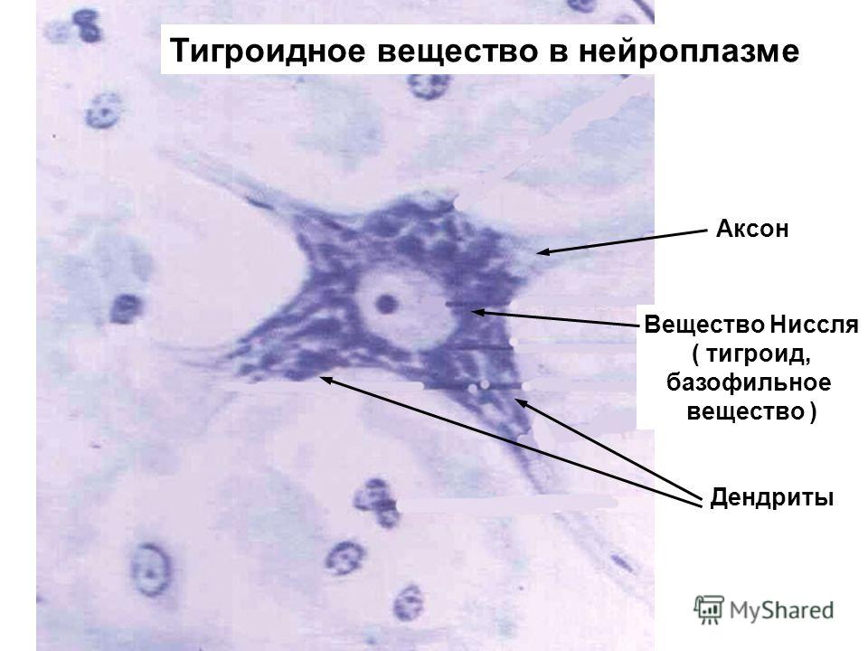 Секс Фурри Комикс Импрегнация