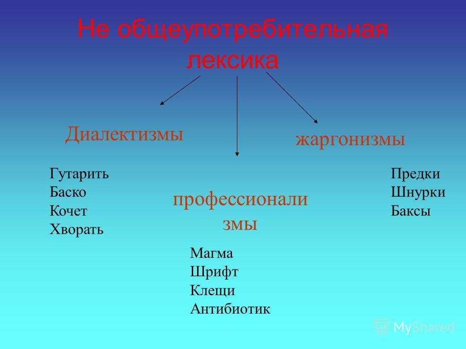 Примеры диалектизмов на всех уровнях языка Баско это диалектизм 54 фото Ast-Ohota.ru