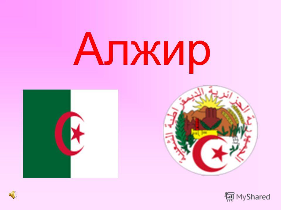 Реферат: Государственный строй Алжира
