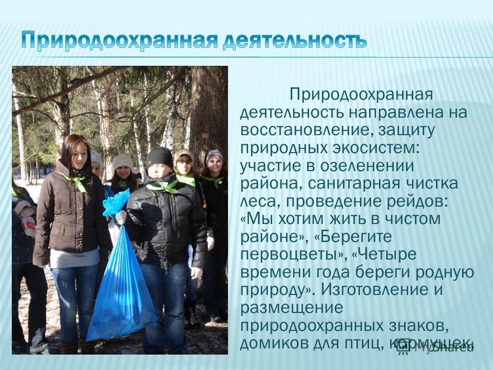 Социальные проекты по экологии
