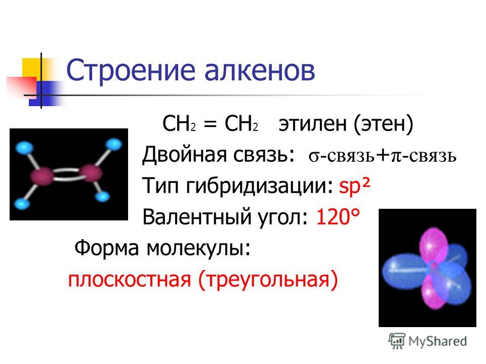 Строение алкенов СН 2 = СН 2 этилен (этен) Двойная связь: σ-связь + π-связь Тип гибридизации: sp² Валентный угол: 120° Форма молекулы: плоскостная (треугольная)