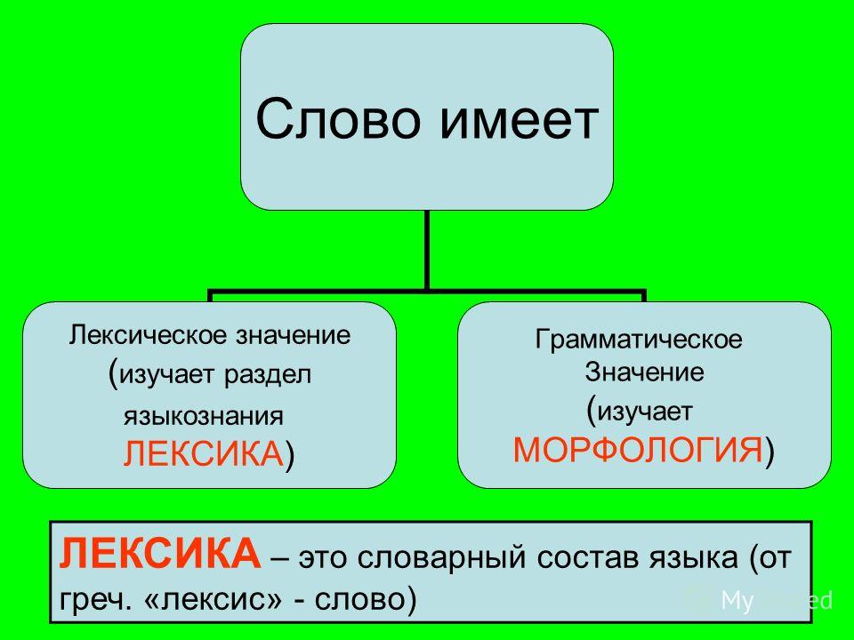 http://images.myshared.ru/6/737516/slide_4.jpg