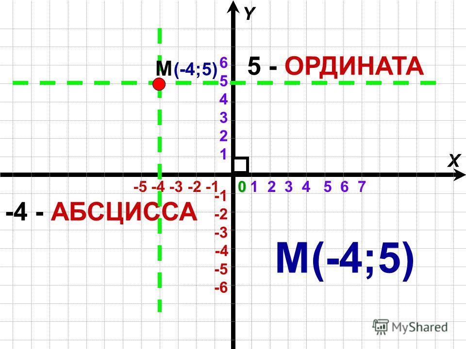 Ось ординат и абсцисс картинки