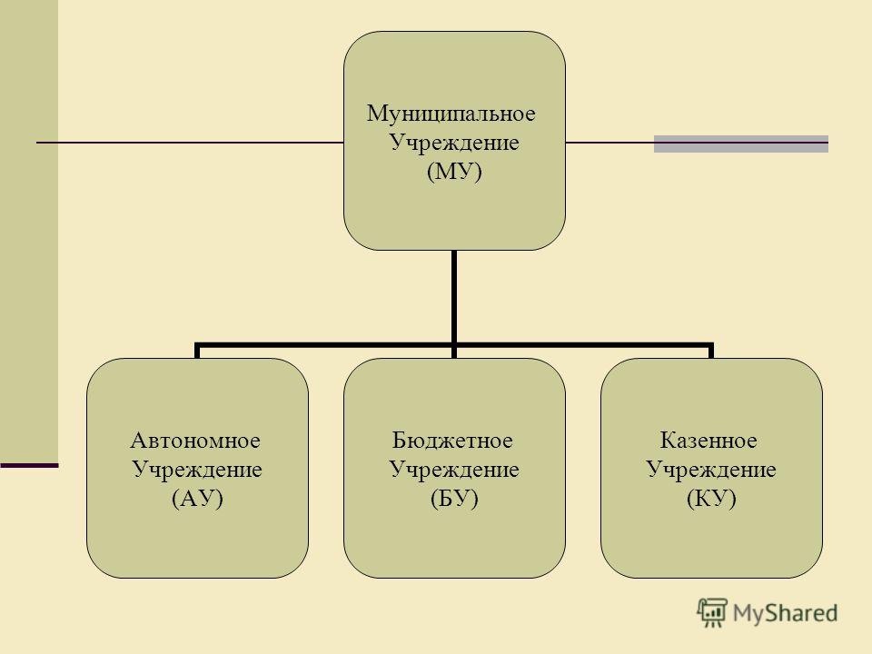 Финансовое обеспечение бюджетного учреждения осуществляется за счет Финансовое обеспечение деятельности бюджетного учреждения. Диплом