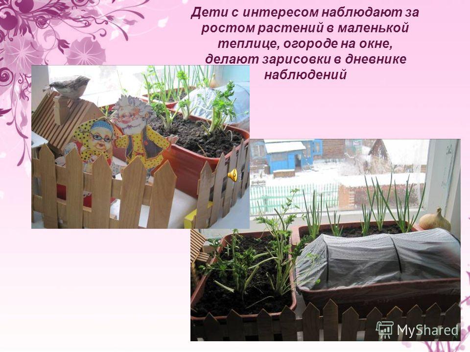 Картинки зарисовок календарей наблюдений за явлениями природы Картинки зарисовок календарей наблюдений за явлениями природы