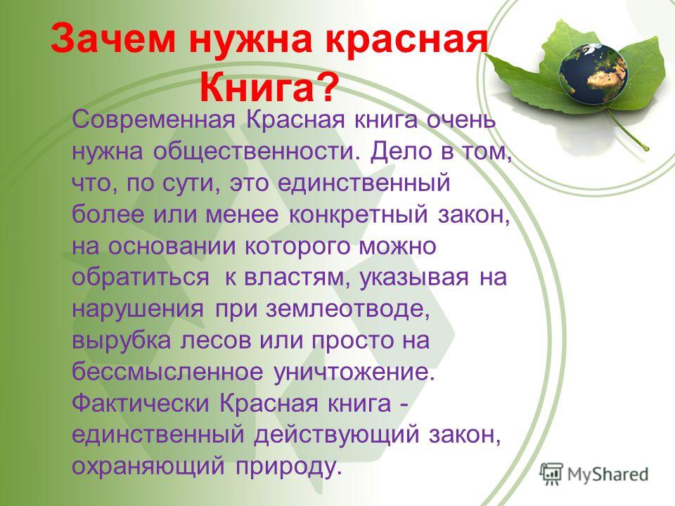 Проект По Окружающему Красная Книга Проект По Окружающему Красная Книга