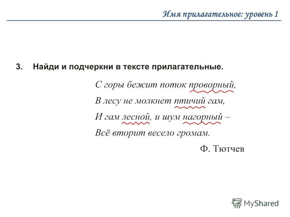 Контрольная Работа Прилагательное 3 Класс Контрольная Работа Прилагательное 3 Класс