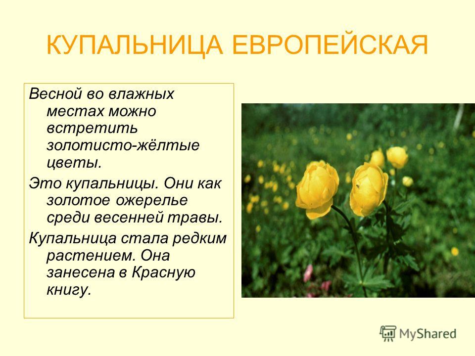 Качки и их любимые девушки Качки и их любимые девушки
