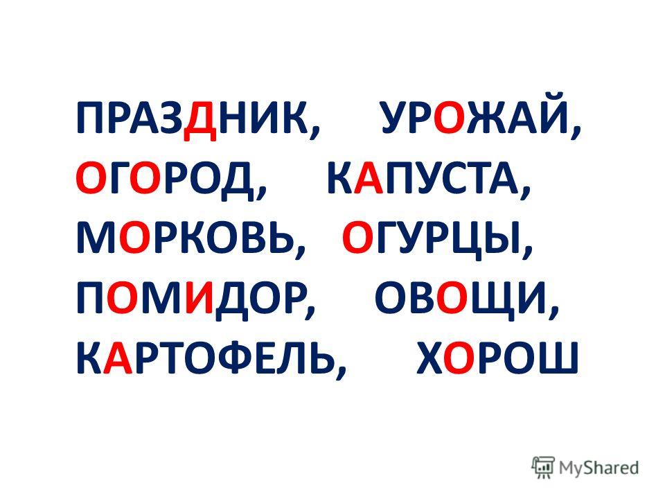 Праздник урожай овощи Праздник урожай овощи