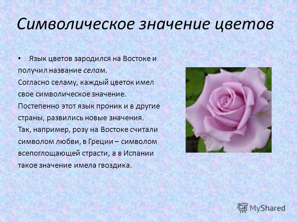 Цветы и их значения с