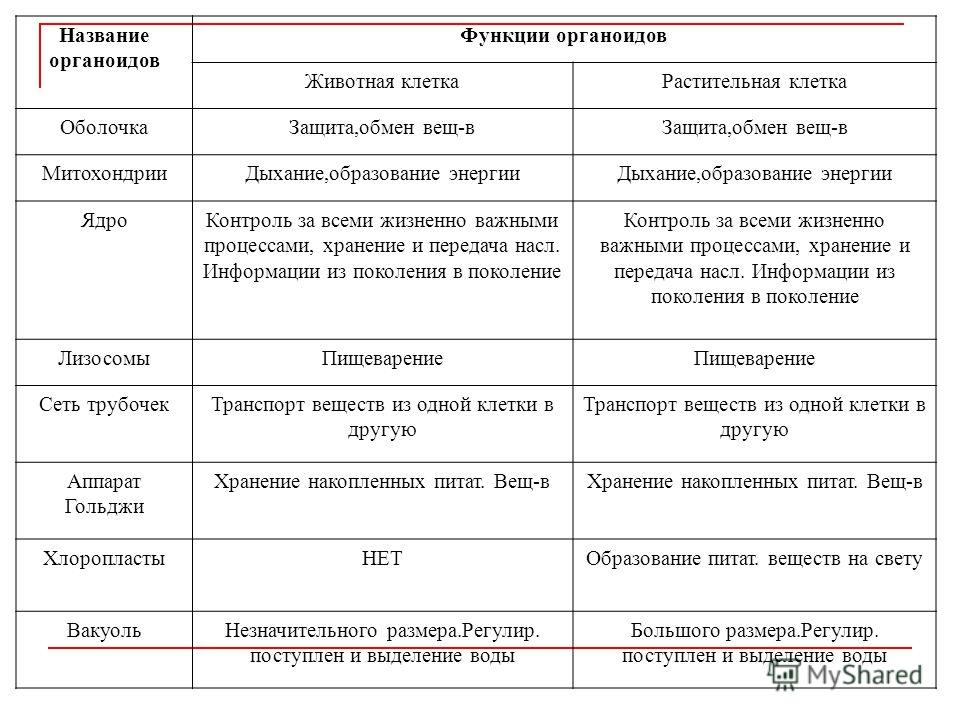 Название органоида строение функции таблица 10 Презентация на тему: "Микроскоп. Живые клетки.. Ручная лупа (1) увеличивает пред