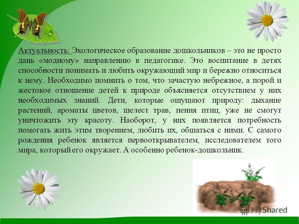 Исследовательский экологический проект