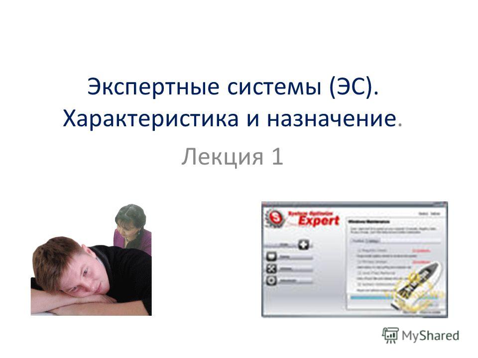 Экспертные Правовые Системы Реферат