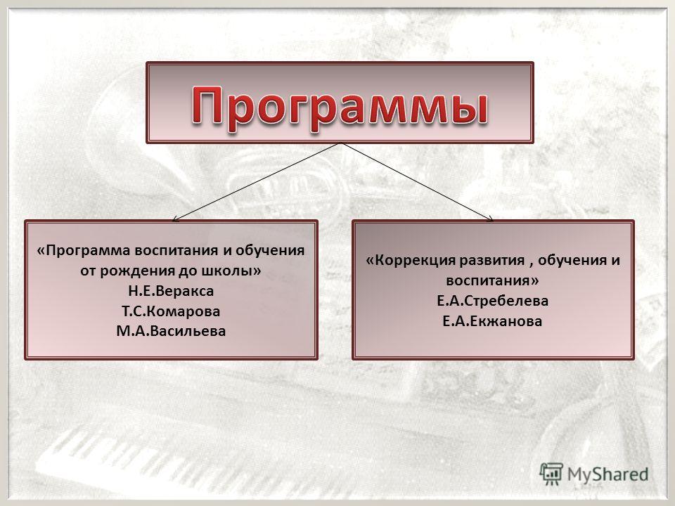 Екжанова Стребелева Программа