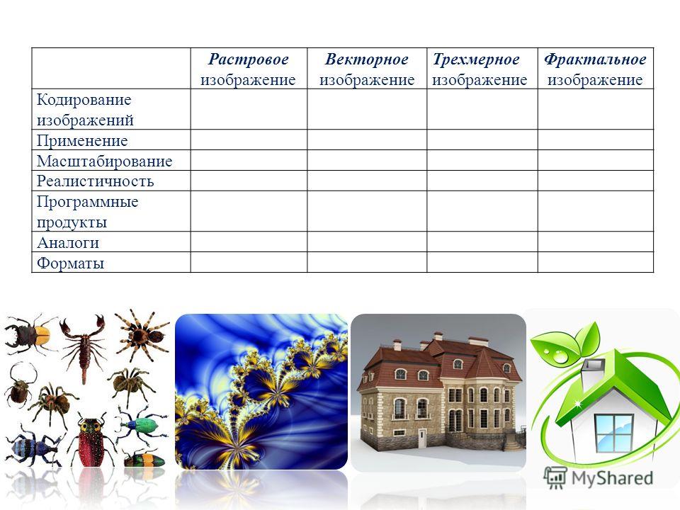 Программные продукты векторного изображения