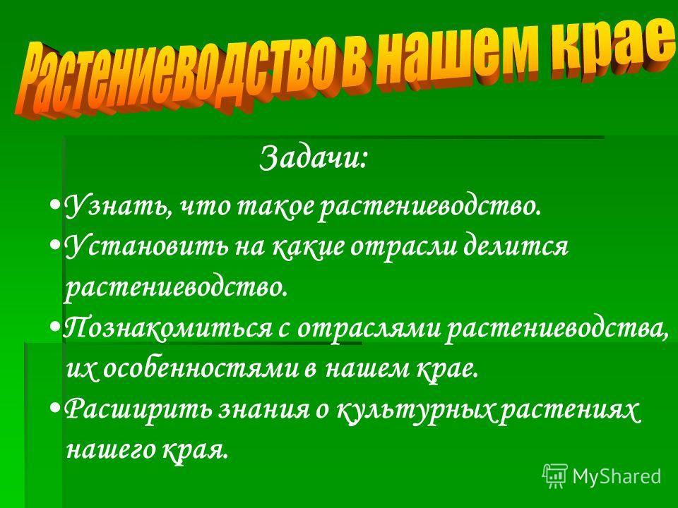 какие травы убивают паразитов в организме человека какие травы убивают паразитов в организме человека