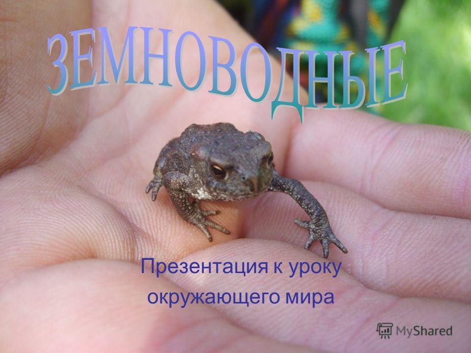 Скачать к уроку окружающего мира проект "моя малая родина" 1 класс.