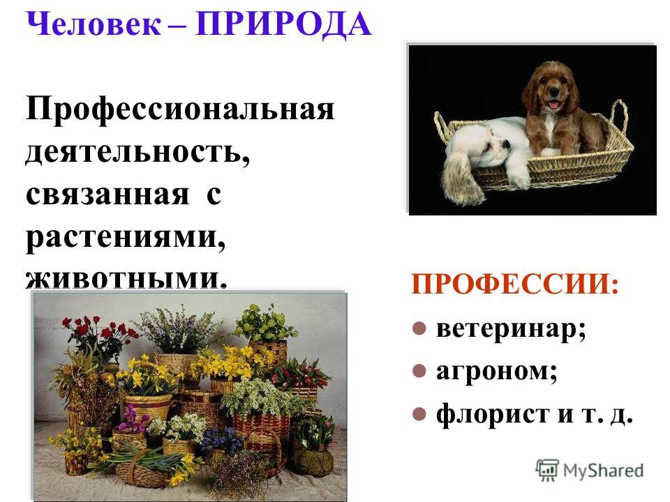 Пульты управления тепловыми завесами Тепломаш 58 Пульты управления тепловыми завесами Тепломаш 38
