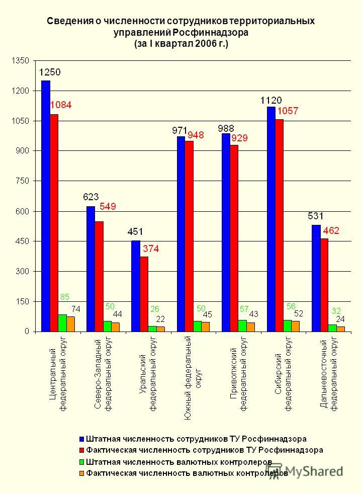 Сведения о численности сотрудников территориальных управлений Росфиннадзора (за I квартал 2006 г.)