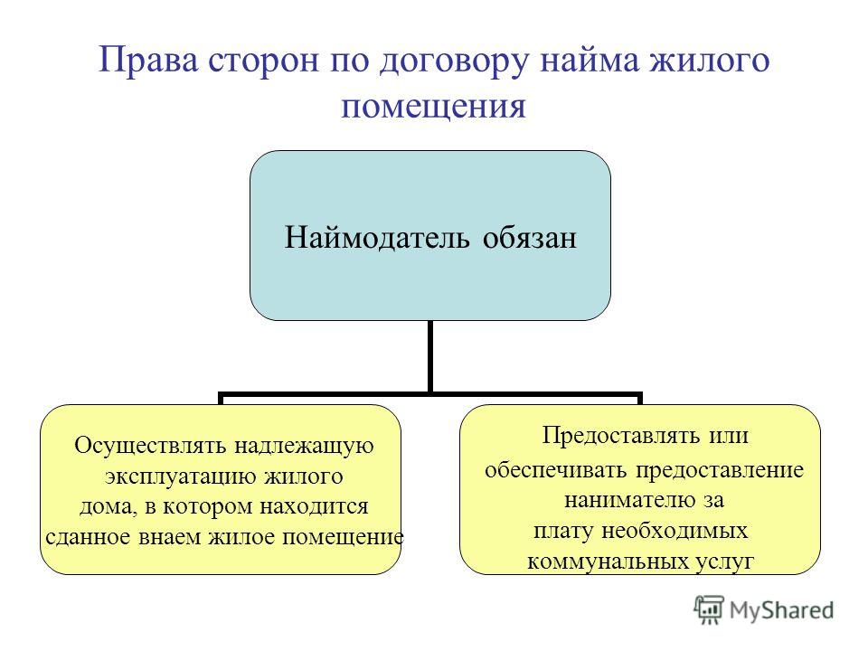 Наниматель жилого помещения обязан Олвин