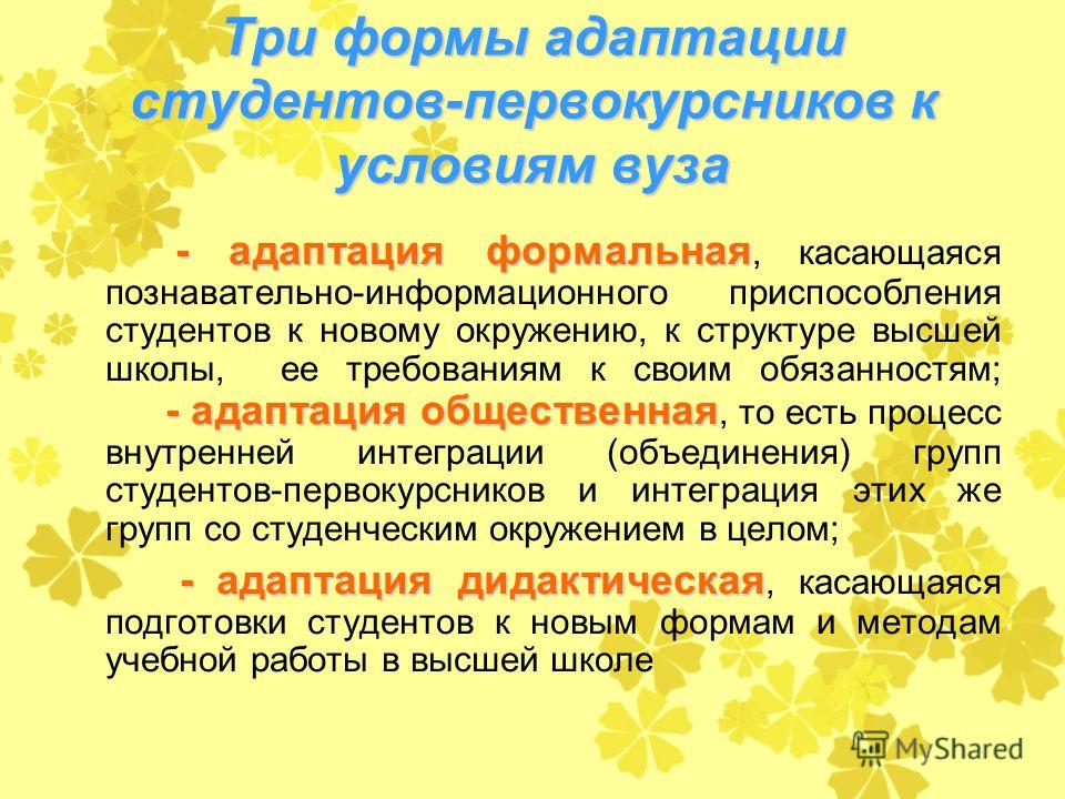 Секс Студентов Первокурсников