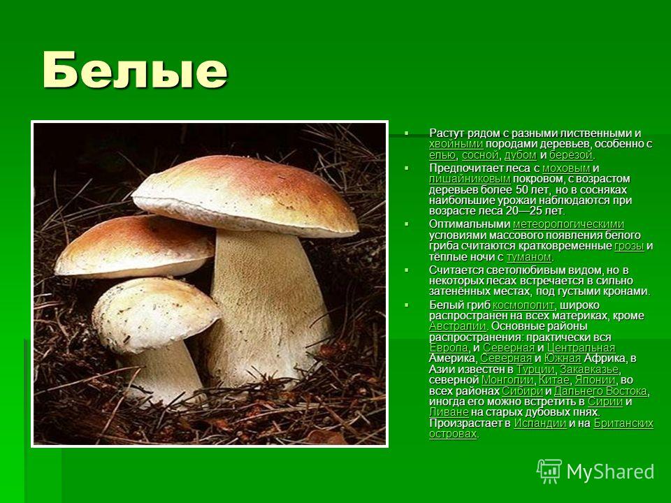 Шляпки на осеннюю тему 257