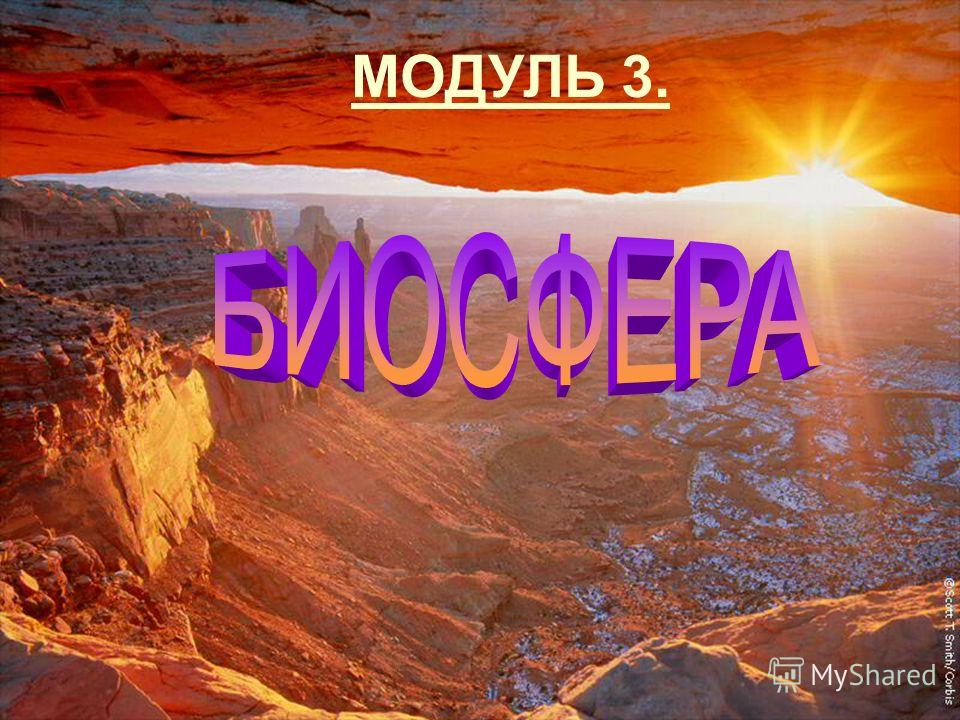 Реферат: Человек и биосфера 3