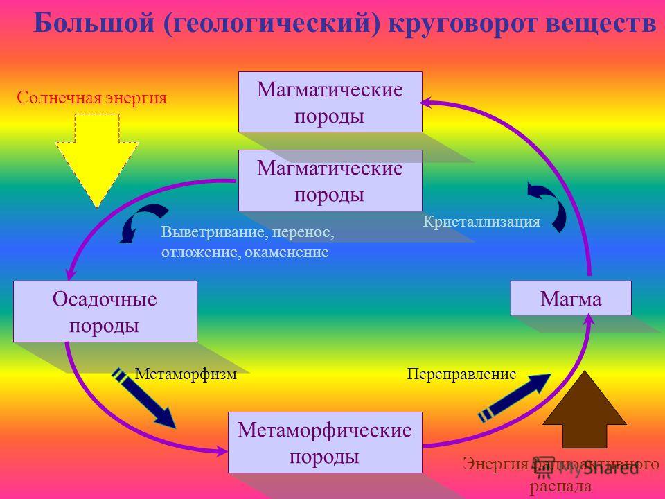 Схема биологический круговорот веществ Схема биологический круговорот веществ