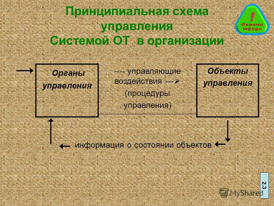 Травмобезопасность В Медицине Презентация