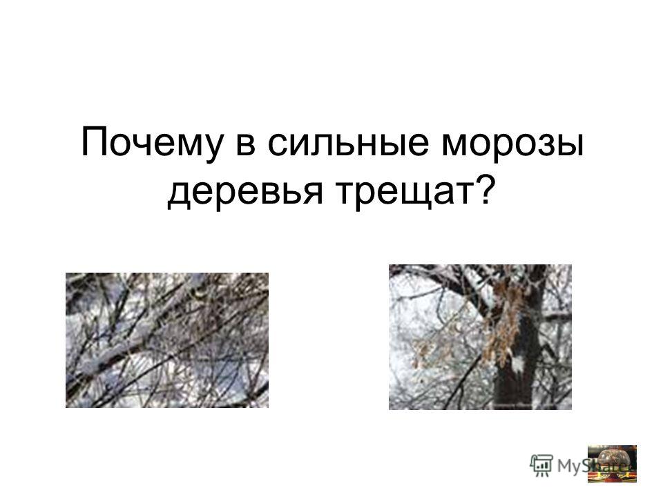 Тест зимних колес для внедорожников