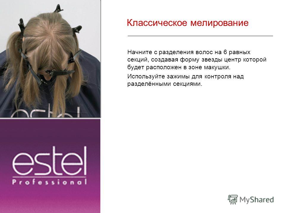 Схемы деления при окрашивании Схемы деления при окрашивании