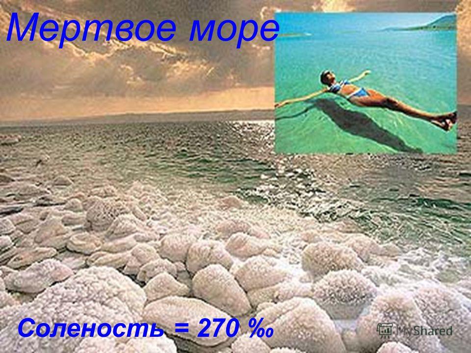 Соленость = 270 Мертвое море